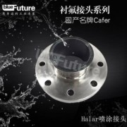 国产Cafer Halar喷涂接头