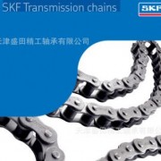 skf 链条 PHC12B-1X5MTR 传动链条 碳钢 联轴器 现货原装进口