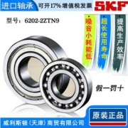 进口轴承skf 6202-2ZTN9 轴承 深沟球轴承 高温电机零类轴承批发