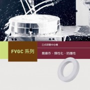 FVGC TC V4新能源产业-台湾福裕 CHEVALIER